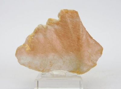 Topaz (Bi-color) - Volyň, Volodarsk, Ukrajina